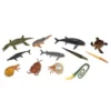 Collecta Mini Prehistorische Zeedieren 7-11 Cm (12st) -Speelgoedwinkel collecta set mini prehistorische dieren 7 11 cm 12st