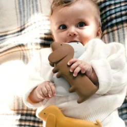 We Are Gommu Bad- En Bijtspeelgoed Hond Choco -Speelgoedwinkel gommu bad en bijtspeelgoed hond choco 5