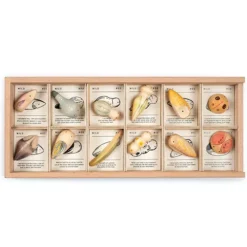 Grapat Speelfiguren Wild - 12st