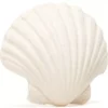 Lanco Toys Bijtspeeltje Schelp -Speelgoedwinkel lanco toys bijtspeeltje schelp 2