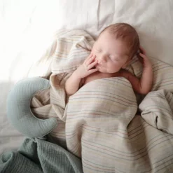 Mushie Knuffeldoek Moon - Roman Green -Speelgoedwinkel mushie knuffeldoek moon roman green 8