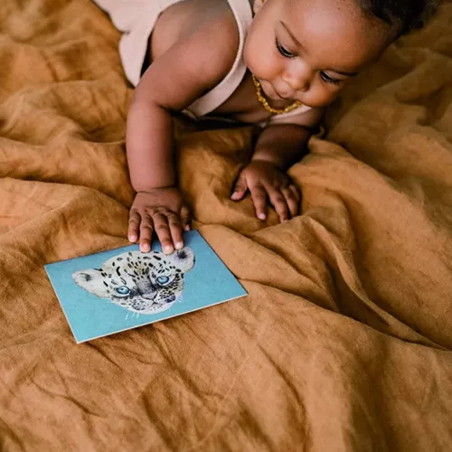 Nuukk Ansichtkaart Leopard 4 Nuukk Ansichtkaart Leopard - Afbeelding 2