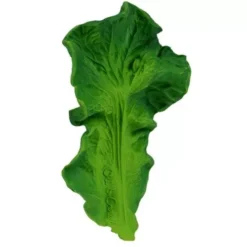 Oli & Carol Bijt- & Badspeelgoed Boerenkool