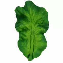 Oli & Carol Bijt- & Badspeelgoed Boerenkool -Speelgoedwinkel oli carol boerenkool1