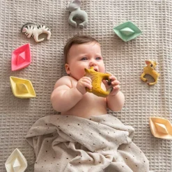 Oli & Carol Bad- & Bijtarmband Vos Rob -Speelgoedwinkel oli carol bad bijtarmband vos rob 7