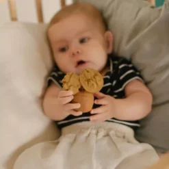 Oli & Carol Bijtspeeltje Walnoot -Speelgoedwinkel oli carol bijtspeeltje walnoot5