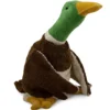 Senger Warmteknuffel Eend - 80 Cm 1 Senger Warmteknuffel Eend - 80 Cm -Speelgoedwinkel senger warmteknuffel eend 80 cm 1