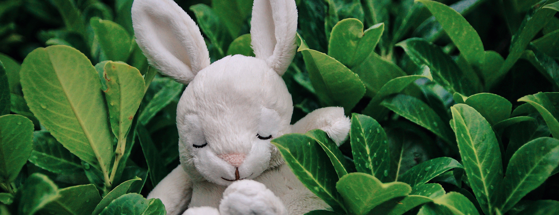 Speelgoedwinkel 2 Speelgoedwinkel -Speelgoedwinkel photo 1594625143769 833e26516853